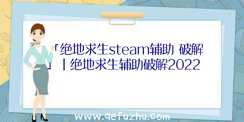 「绝地求生steam辅助